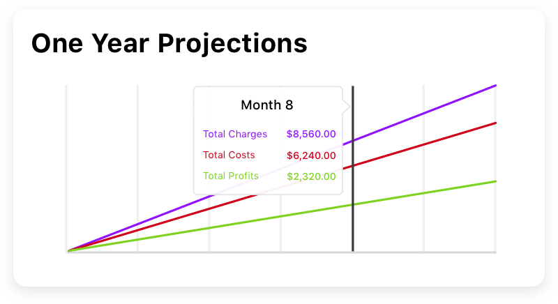 screen showing estimate projections